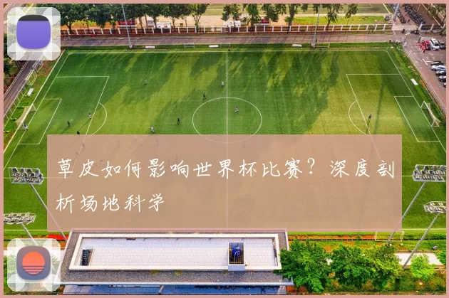 草皮如何影响世界杯比赛？深度剖析场地科学