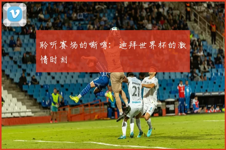 聆听赛场的嘶鸣：迪拜世界杯的激情时刻