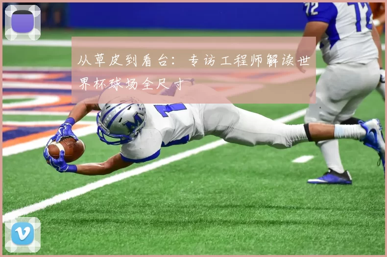 从草皮到看台：专访工程师解读世界杯球场全尺寸