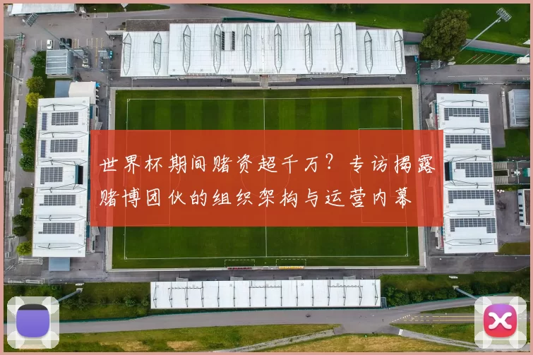世界杯期间赌资超千万？专访揭露赌博团伙的组织架构与运营内幕