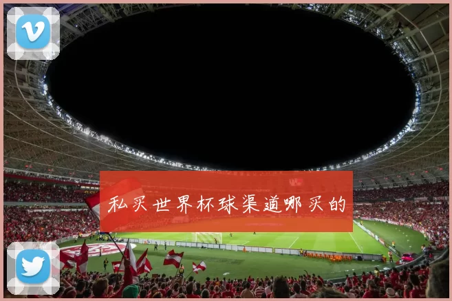 私买世界杯球渠道哪买的