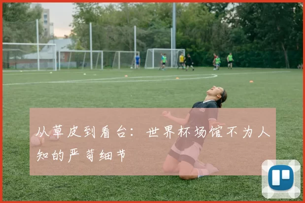 从草皮到看台：世界杯场馆不为人知的严苛细节