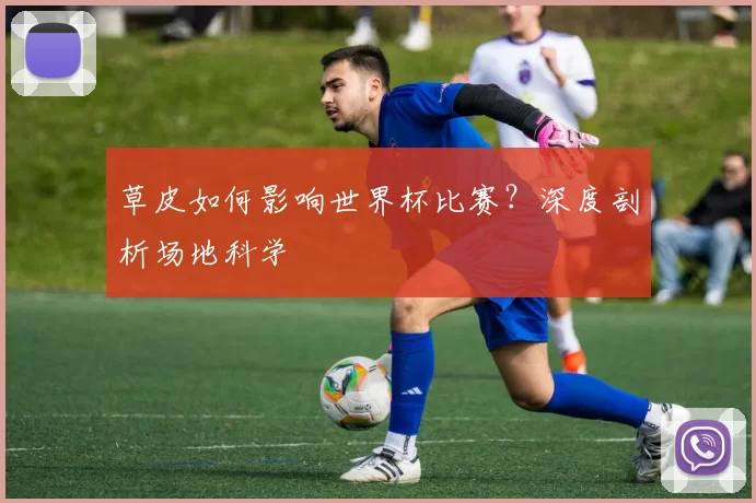 草皮如何影响世界杯比赛？深度剖析场地科学
